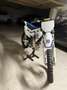 Husqvarna TC 125 heritage - thumbnail 4