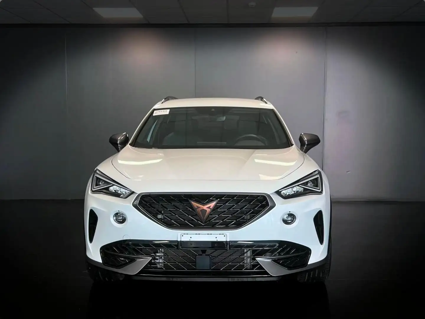 CUPRA Formentor 1.5 TSI DSG 150CV Bianco - 2