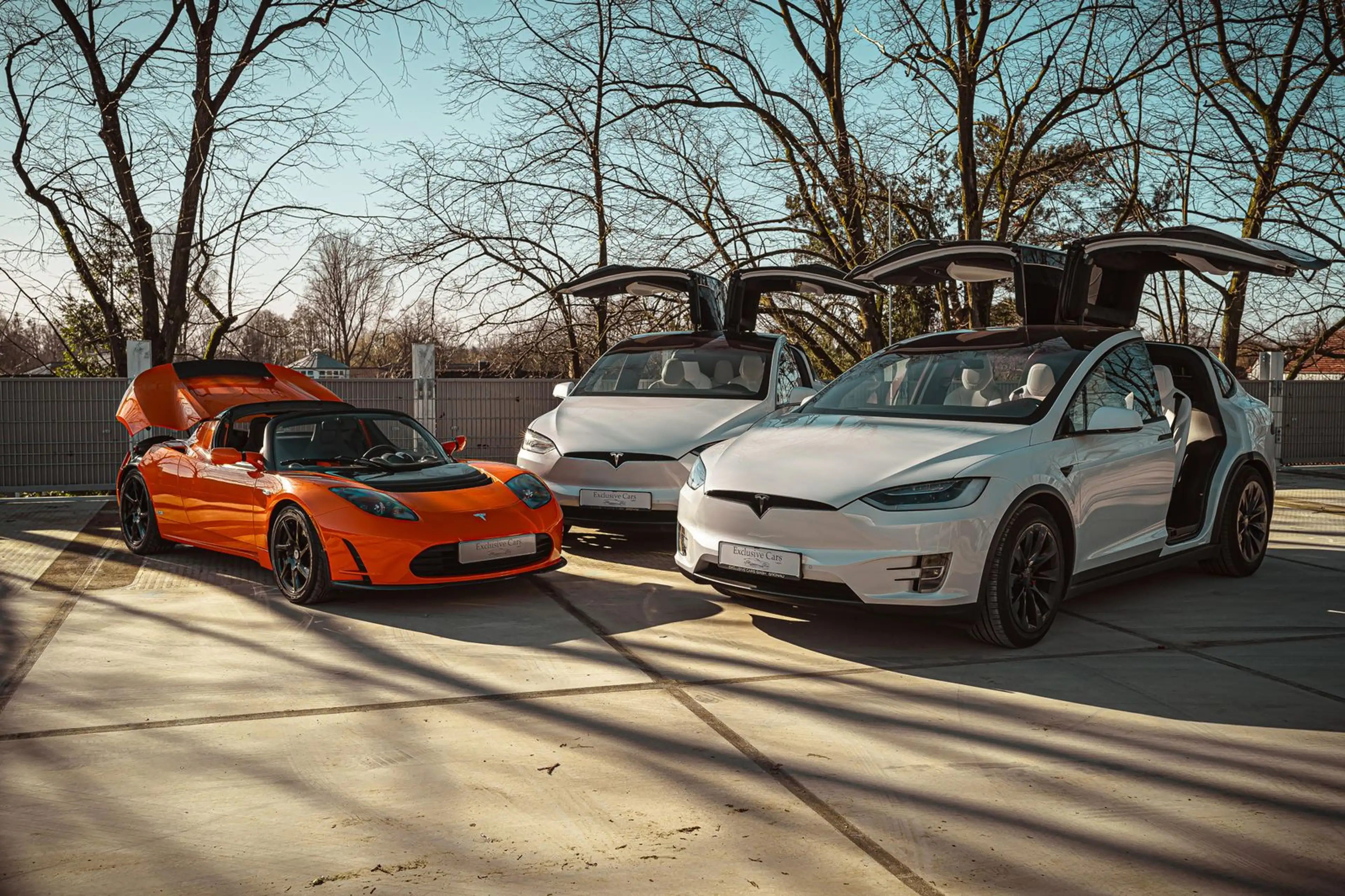 Tesla Model S MODEL S PLAID | MATRIX LED|FULL SELF DRIVE 4 AI — photo 3