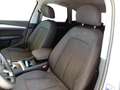 Audi Q5 Q5 40 TDI quattro S tronic Business Design Grau - thumbnail 4