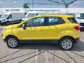 Ford EcoSport 1.5 tdci Plus 95cv E6 Oro - thumbnail 7