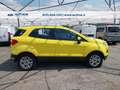 Ford EcoSport 1.5 tdci Plus 95cv E6 Oro - thumbnail 11