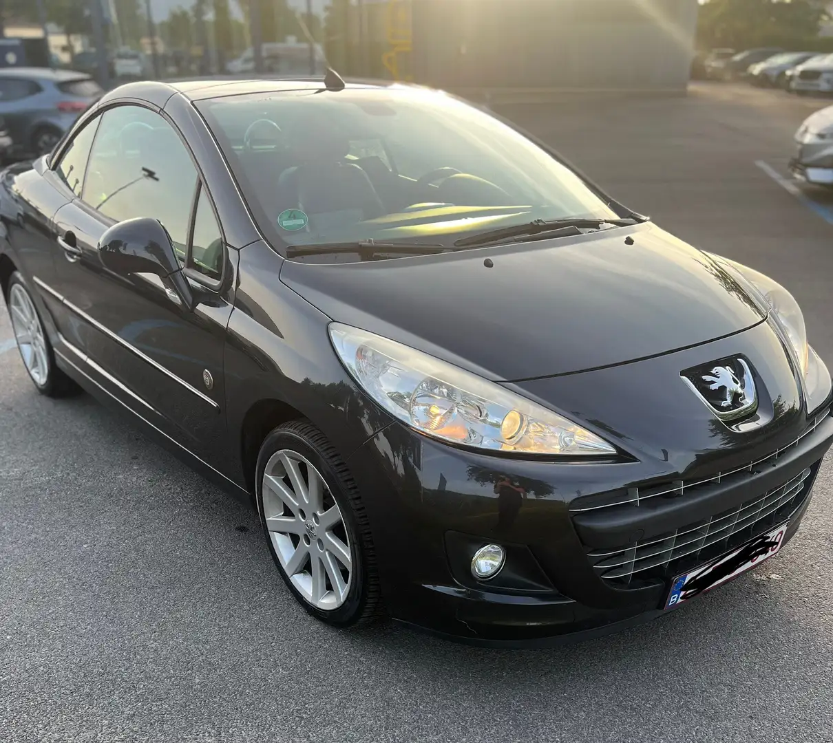 Peugeot 207 CC FAP 110 (Blue Lion) Roland Garros - 2