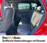 SEAT Ateca FR 2.0 TDI DSG 4Drive Rot - thumbnail 14
