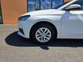 Skoda Fabia Ambition 1.0 TSI Evo Weiß - thumbnail 33