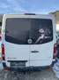 Volkswagen Crafter VW Crafter Camper - Projekt - Ausbau! - thumbnail 7
