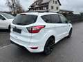 Ford Kuga ST-Line *Kamera* Blanco - thumbnail 8