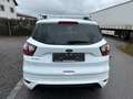 Ford Kuga ST-Line *Kamera* Blanco - thumbnail 7
