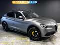 Alfa Romeo Stelvio 2.0 T AWD Super|PANO|KEYLESS|MEMORY|CRUISE|STOELV| Gris - thumbnail 4