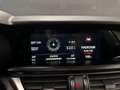 Alfa Romeo Stelvio 2.0 T AWD Super|PANO|KEYLESS|MEMORY|CRUISE|STOELV| Gris - thumbnail 25