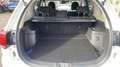Mitsubishi Outlander PHEV Twin Motor Business 4WD Euro6d-T EVAP 5cv - thumbnail 10