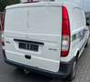Mercedes-Benz Vito 111 CDI LKW Zulassung scheckheftgepflegt Wit - thumbnail 3