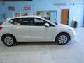 SEAT Ibiza 1.0 TSI S&S Reference Plus 95 Weiß - thumbnail 25