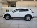 Mazda CX-5 CX-5 I 2012 2.2 Evolve 2wd 150cv 6at Bianco - thumbnail 12