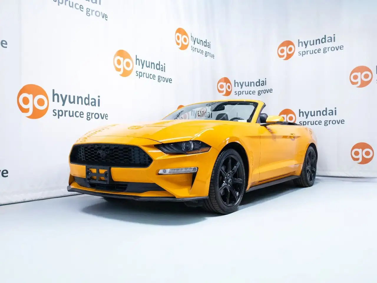 Ford Mustang снимка Ford Mustang