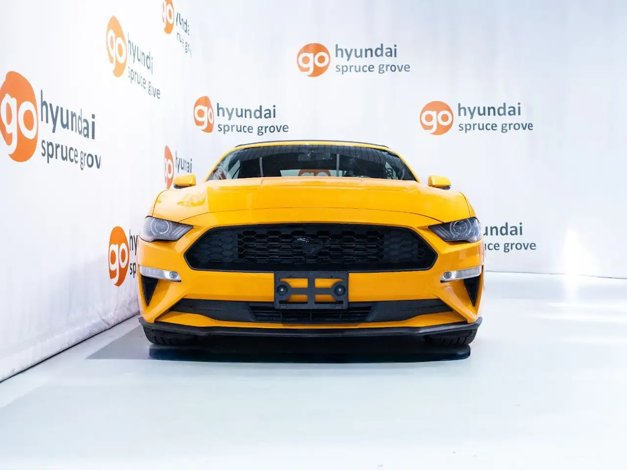 Ford Mustang снимка Ford Mustang