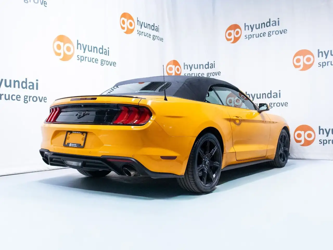 Ford Mustang снимка Ford Mustang
