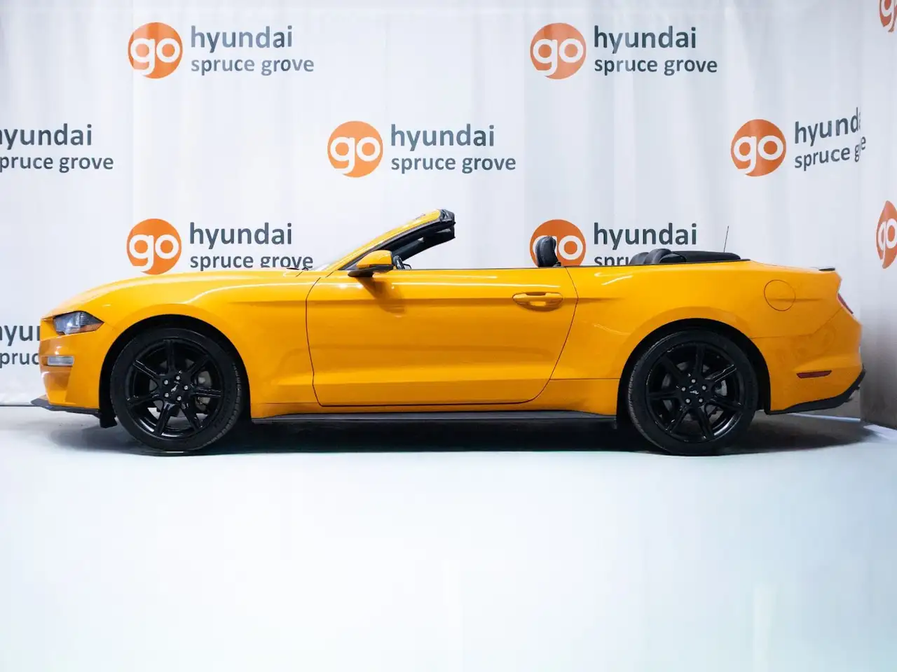 Ford Mustang снимка Ford Mustang