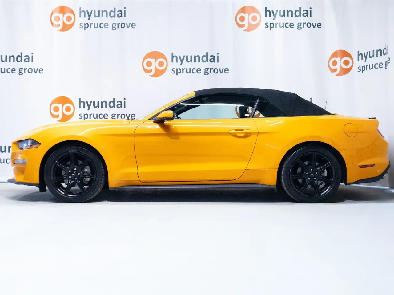 Ford Mustang снимка Ford Mustang