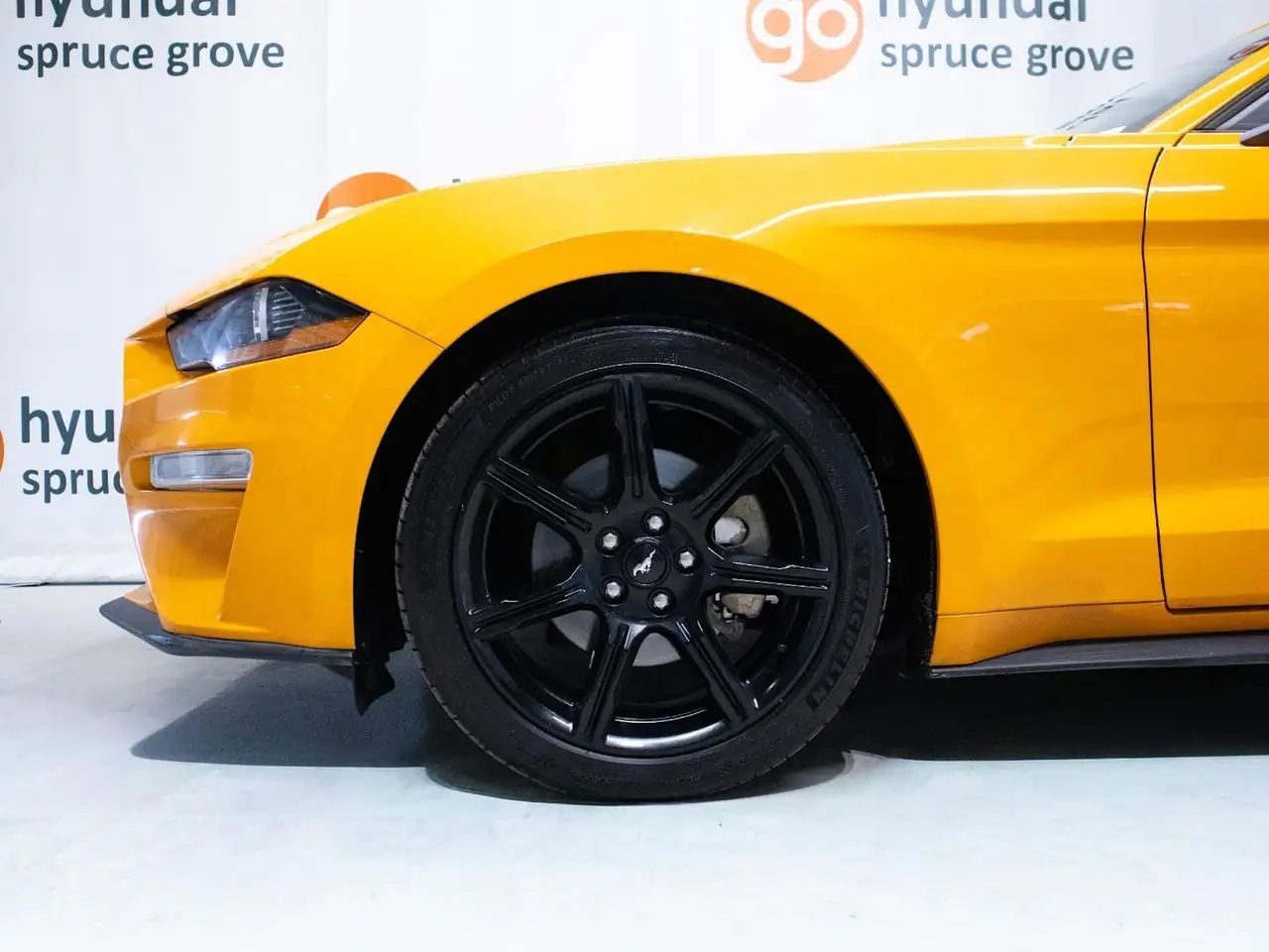 Ford Mustang снимка Ford Mustang