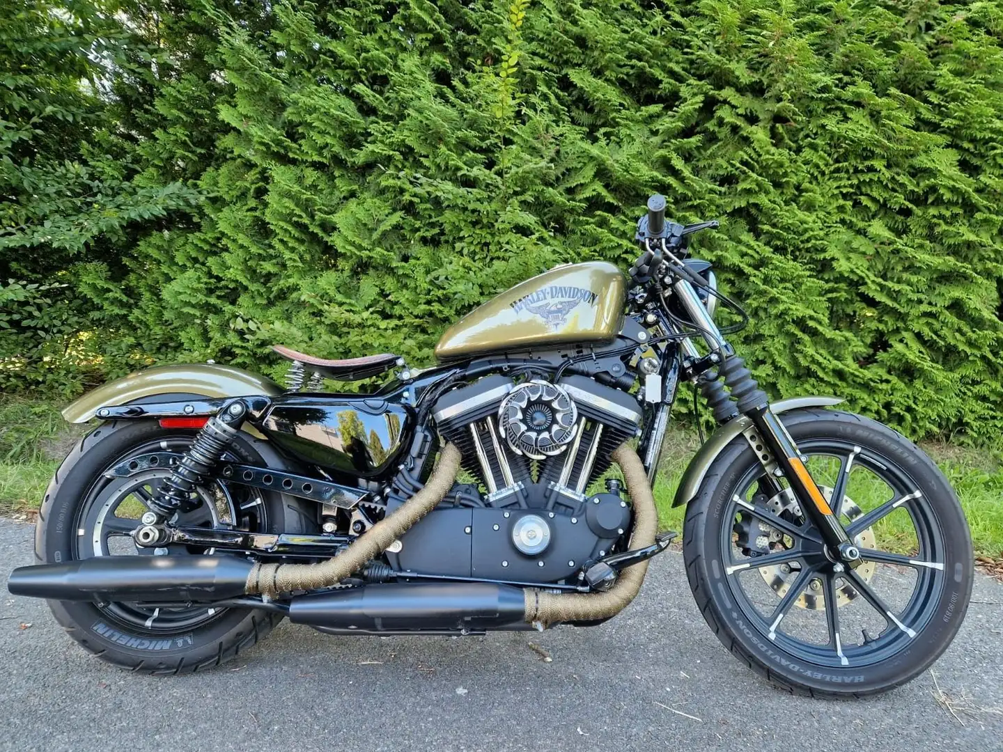 Harley-Davidson XL 883 N Verde - 1