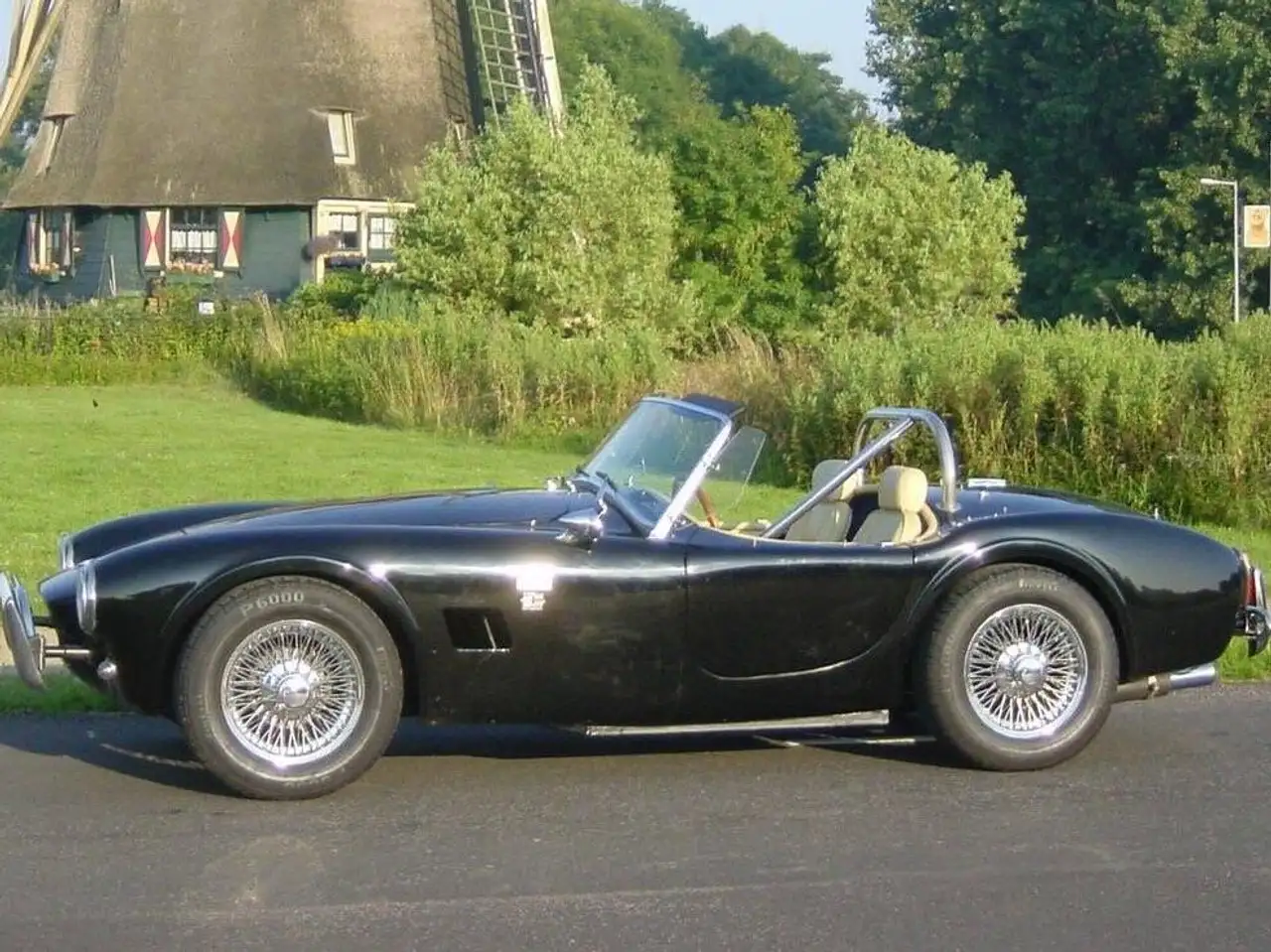 Aurora Cobra, foto 1