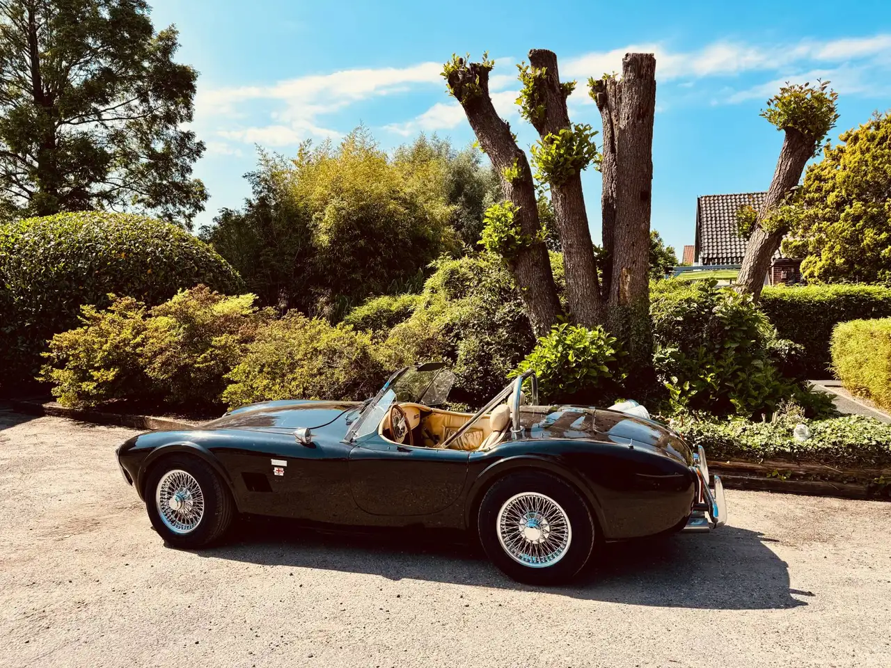 Aurora Cobra, foto 9