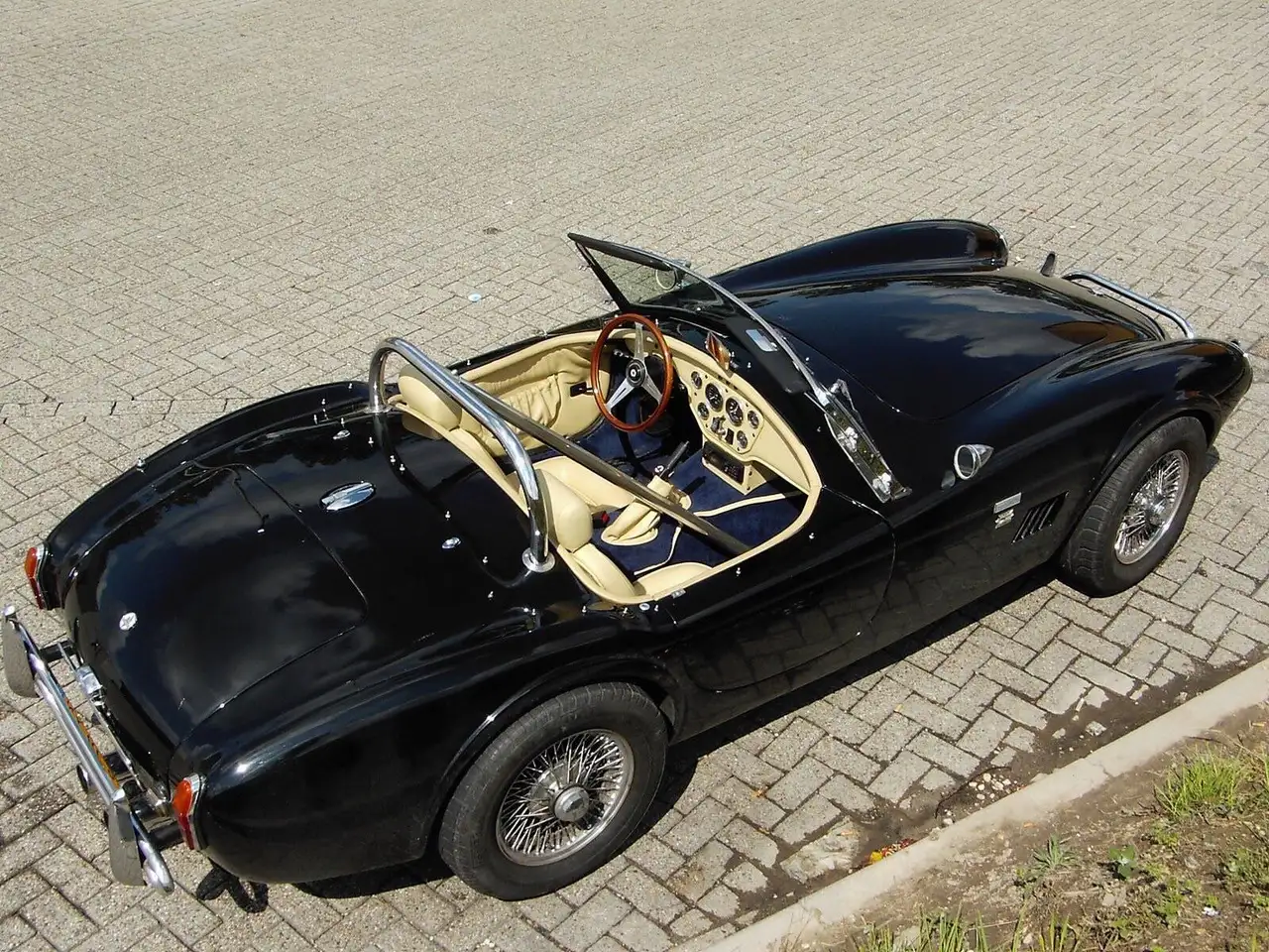 Aurora Cobra, foto 3