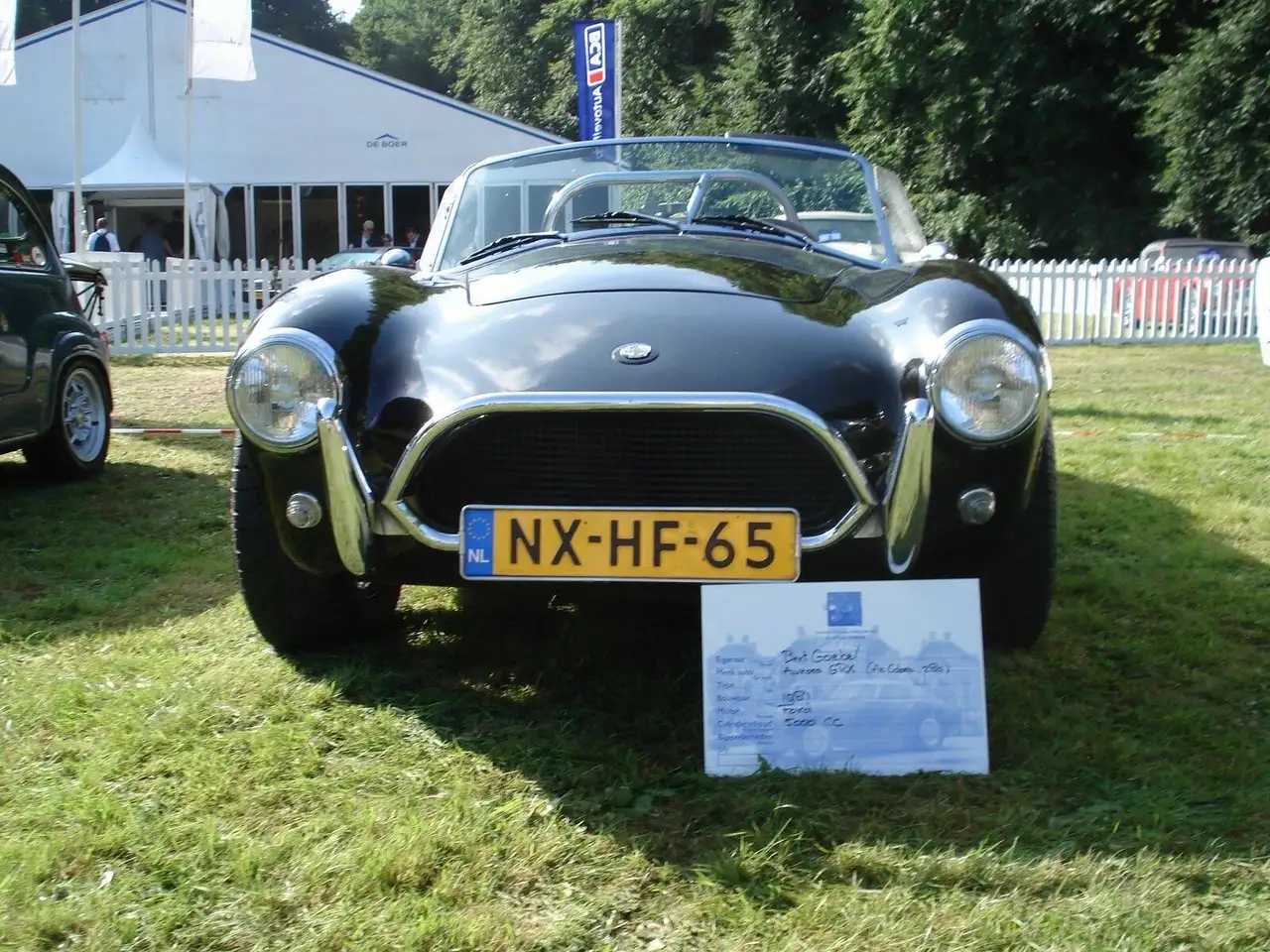 Aurora Cobra, foto 5