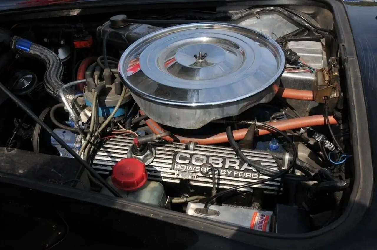 Aurora Cobra, foto 6