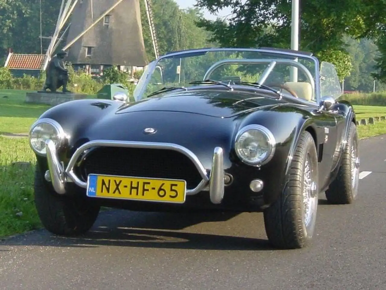 Aurora Cobra, foto 2
