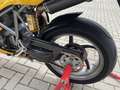 Ducati 998 Bip/Mono posto # Desmo uitgevoerd # schitterend! Amarillo - thumbnail 10