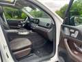 Mercedes-Benz GLE 350 d 4Matic AMG-Line 7-Sitze High-End Fond Blanc - thumbnail 12