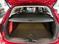 Ford Focus EcoBoost mHEV Active X AUT Rot - thumbnail 5