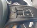 Alfa Romeo Stelvio Quadrifoglio 510 PS Rot - thumbnail 17