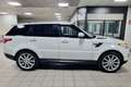 Land Rover Range Rover Sport Range Rover Sport 3.0 TDV6 SE Bianco - thumbnail 4