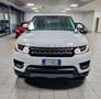 Land Rover Range Rover Sport Range Rover Sport 3.0 TDV6 SE Bianco - thumbnail 2
