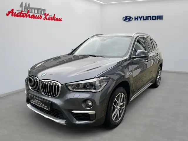 BMW X1 xDrive20d Aut. xLine+8fach bereift