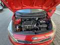Kia Rio Rio III 5p 1.2 LX NEOPATENTATI unico proprietario - thumbnail 13