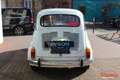 Fiat 600 Collection 1964 Blanc - thumbnail 4