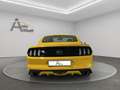 Ford Mustang GT V8 Fastback  AUTOM.NAVI LEDER XENON Galben - thumbnail 5