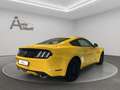 Ford Mustang GT V8 Fastback  AUTOM.NAVI LEDER XENON Galben - thumbnail 6