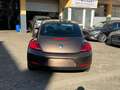 Volkswagen Beetle Lim. Design BMT*SHZ*MFL*NUR 22TKM*** Braun - thumbnail 4