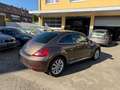 Volkswagen Beetle Lim. Design BMT*SHZ*MFL*NUR 22TKM*** Braun - thumbnail 5