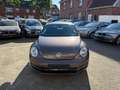 Volkswagen Beetle Lim. Design BMT*SHZ*MFL*NUR 22TKM*** Braun - thumbnail 8
