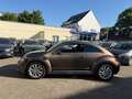 Volkswagen Beetle Lim. Design BMT*SHZ*MFL*NUR 22TKM*** Braun - thumbnail 2