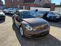 Volkswagen Beetle Lim. Design BMT*SHZ*MFL*NUR 22TKM*** Braun - thumbnail 7