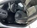 Ford Focus Turnier 1.5 TDCi DPF Aut. Titanium-Navi-Sitzh- Weiß - thumbnail 7