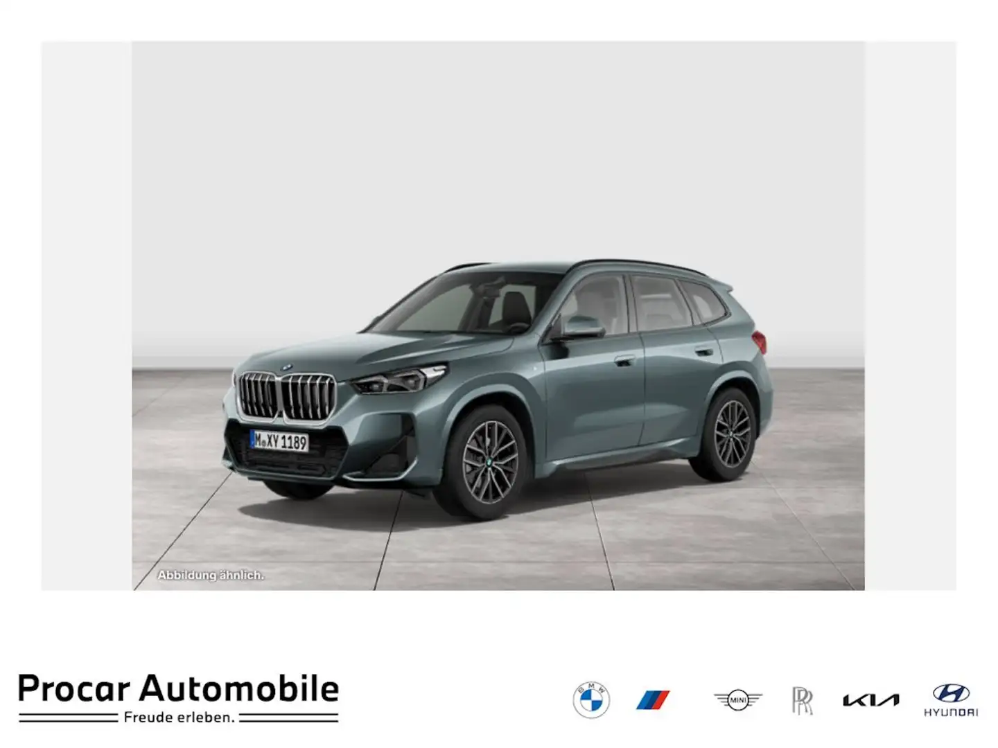 BMW X1 sDrive20i M Sport DA+ PA+ AHK HuD H/K AdapLED Grün - 1
