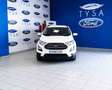 Ford EcoSport Eco Sport  1.0 EcoBoost Trend 100 - thumbnail 2